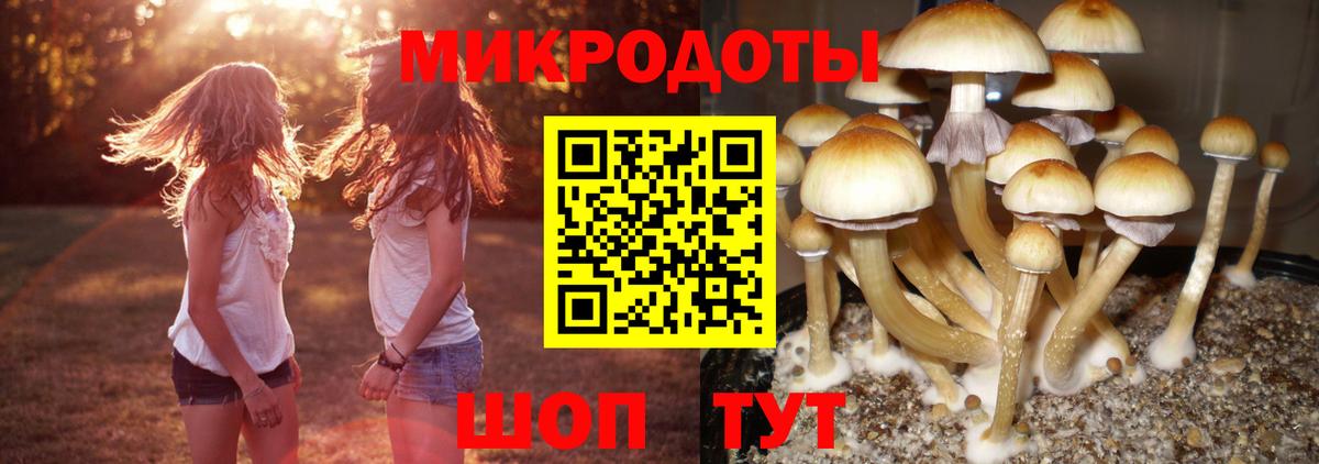 Псилоцибиновые грибы ЛСД Кизилюрт